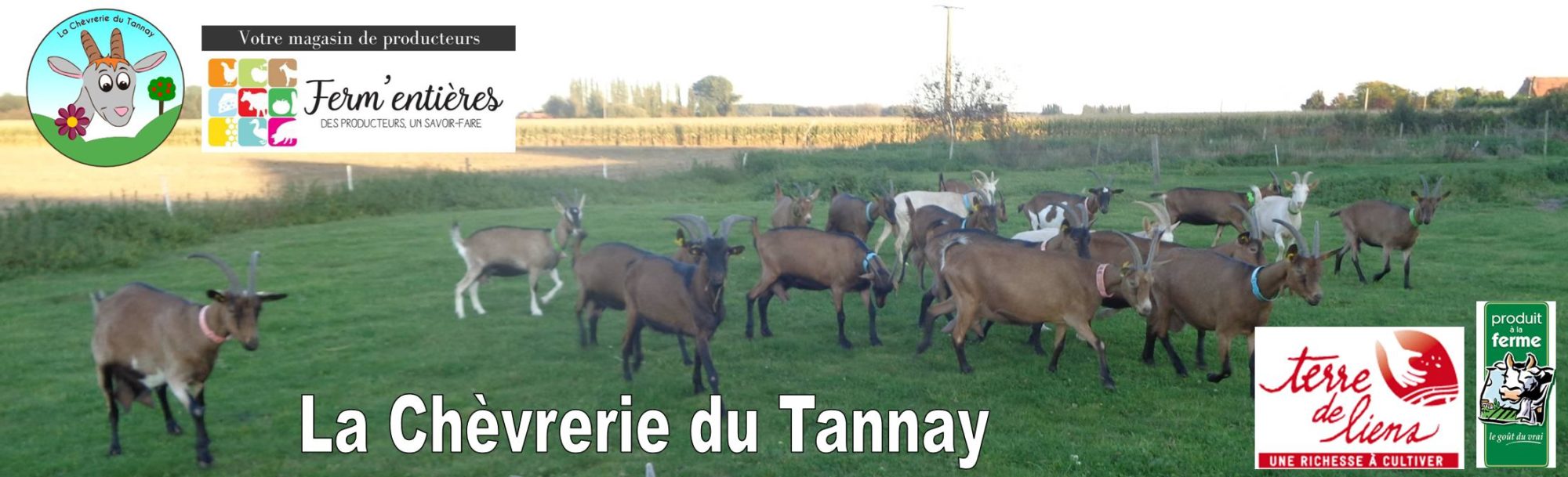 EARL La Chèvrerie du Tannay
